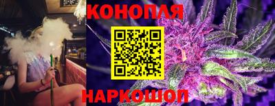 прущие грибы Жуковский