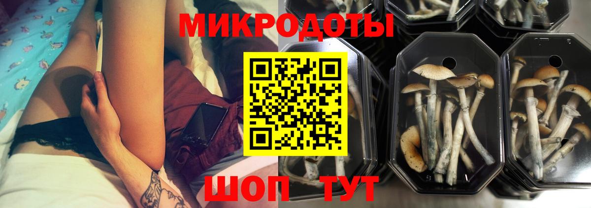 Галлюциногенные грибы Psilocybe Феодосия
